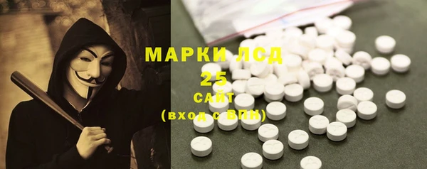 шишки Нея