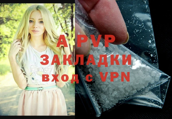шишки Нея