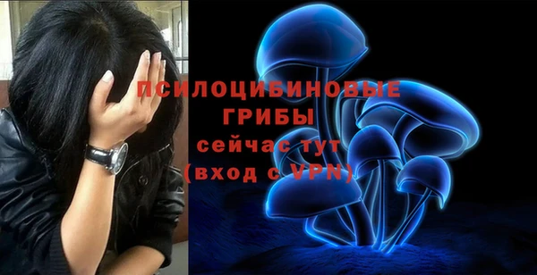 шишки Нея
