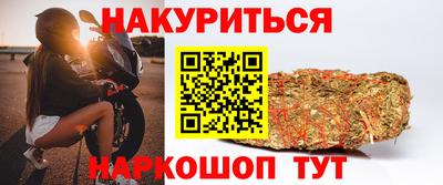 амф Гатчина