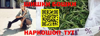 амф Гатчина