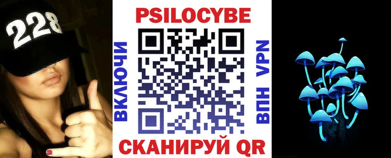 Галлюциногенные грибы Psilocybe  где можно купить   Карпинск 