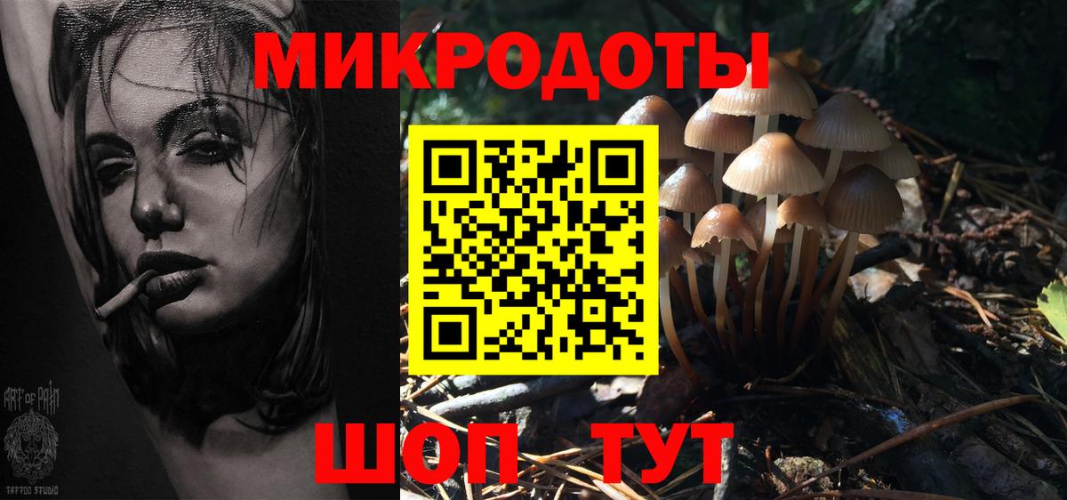Карпинск  Галлюциногенные грибы прущие грибы  Вход с VPN  Псилоцибиновые грибы ЛСД 