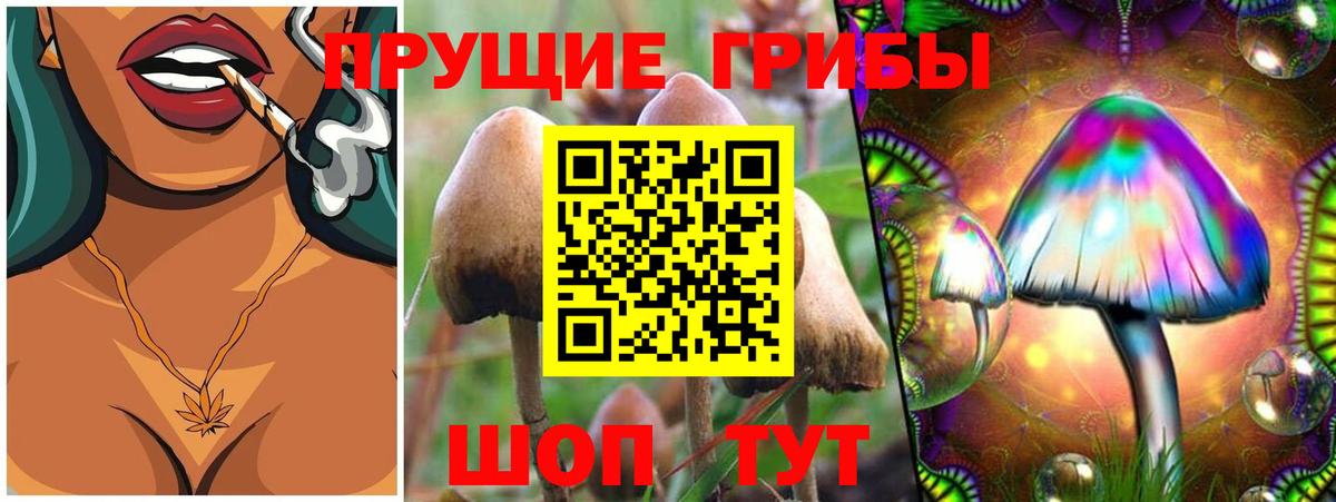 Псилоцибиновые грибы Psilocybine cubensis  Псилоцибиновые грибы MAGIC MUSHROOMS  Карпинск 