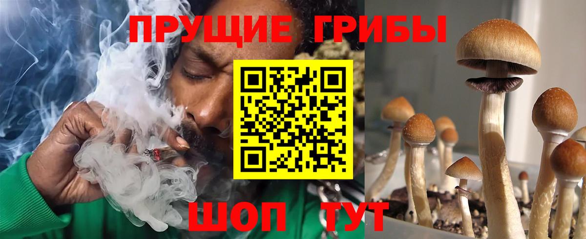 Псилоцибиновые грибы Magic Shrooms Карпинск